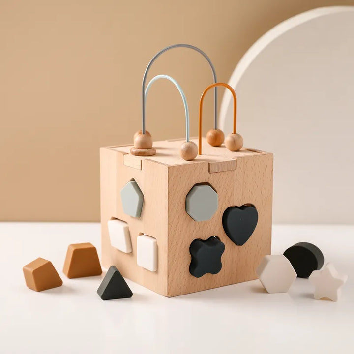 Wooden Activity Cube 